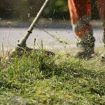 Garten im Herbst