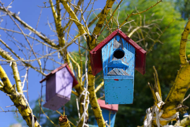 Vogelhäuschen